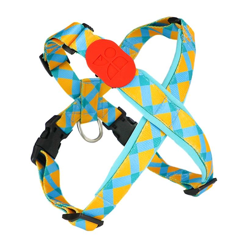 Capri Sunrise Harness & Leash Set - Dogs and Horses
