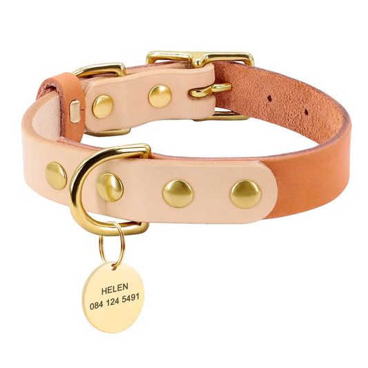 Siena Orange Collar & Custom Engraved Tag - Dogs and Horses