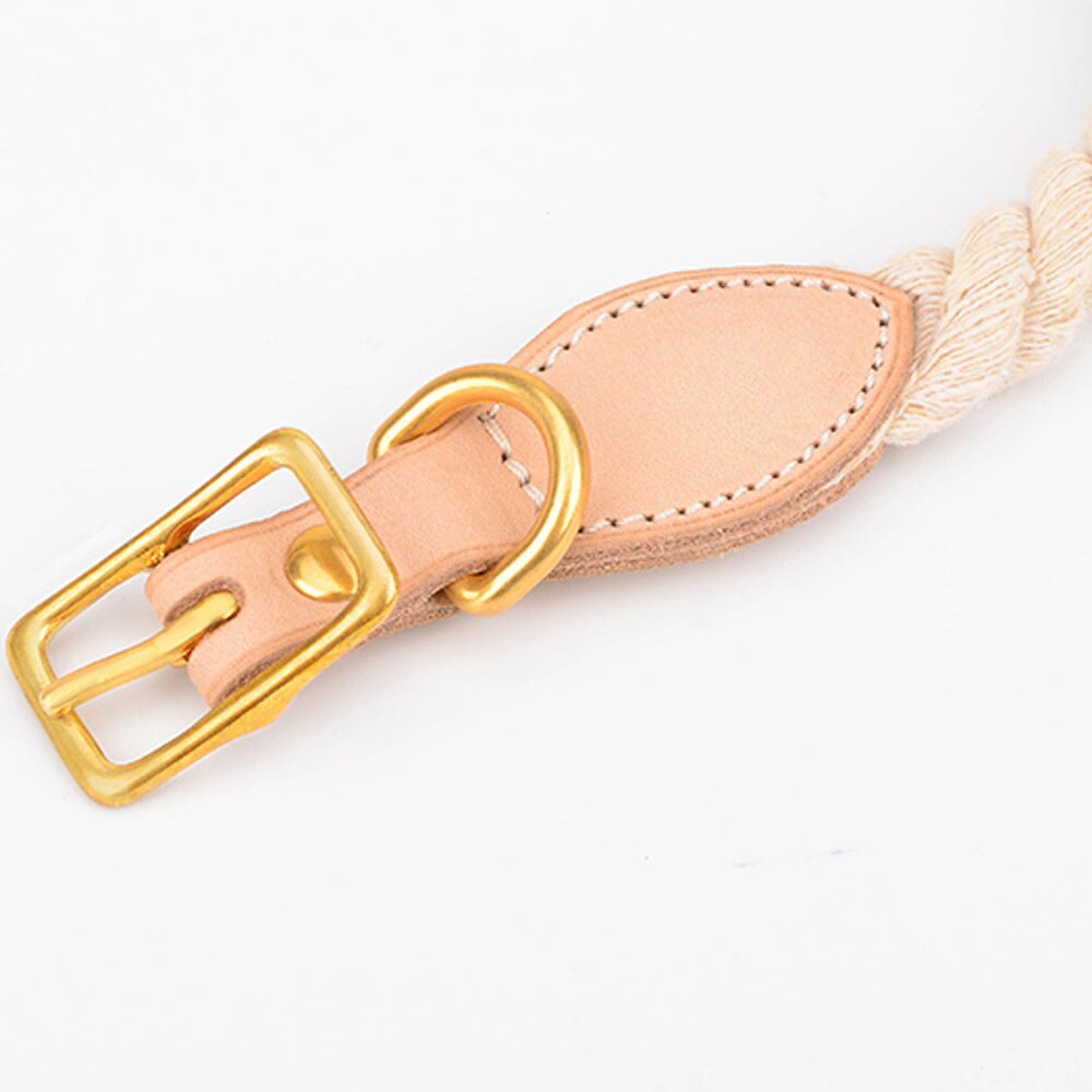 Venice Orange/Blue Collar - Dogs and Horses