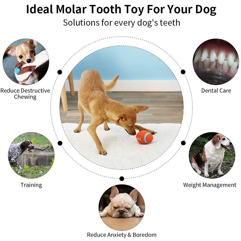 Chew Football - Dogs and Horses