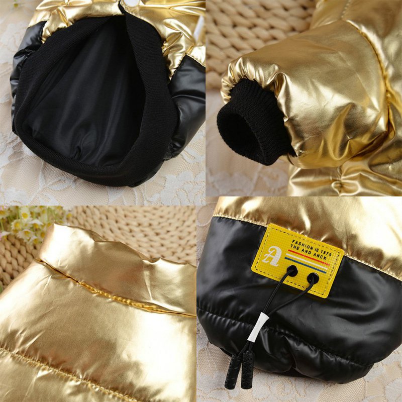 Royal Dog Jacket (Gold / Silver) - Dogs and Horses