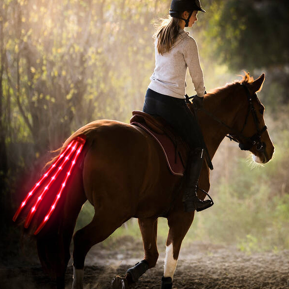 New LED Horse Tail Lights (USB charging) - Dogs and Horses