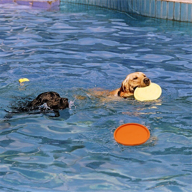 Chew Flying Disc - Dogs and Horses