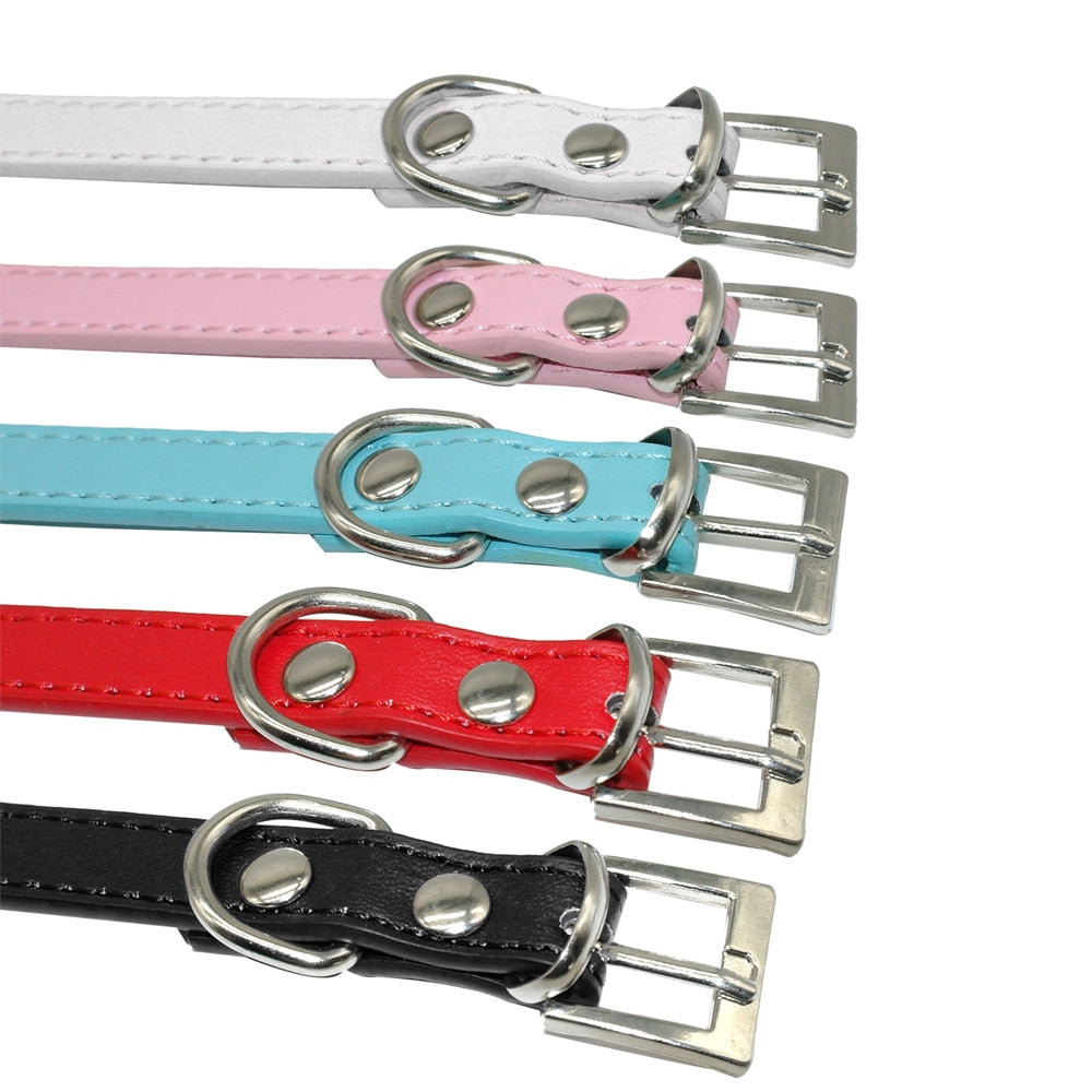 Bling Personalized Collar & Charm - Dogs and Horses