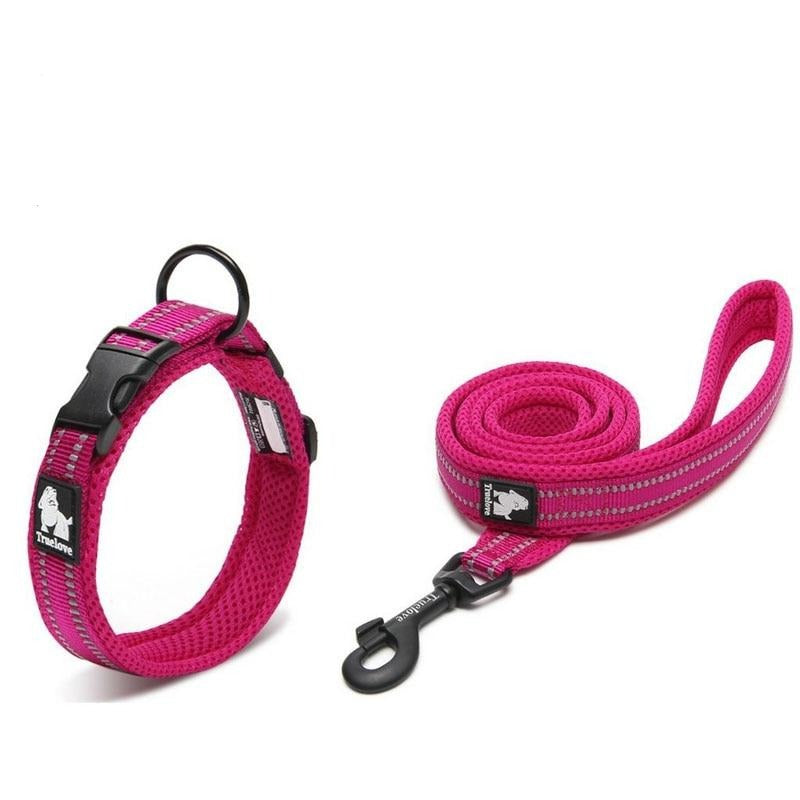 Collodi Fuchsia Set - Dogs and Horses