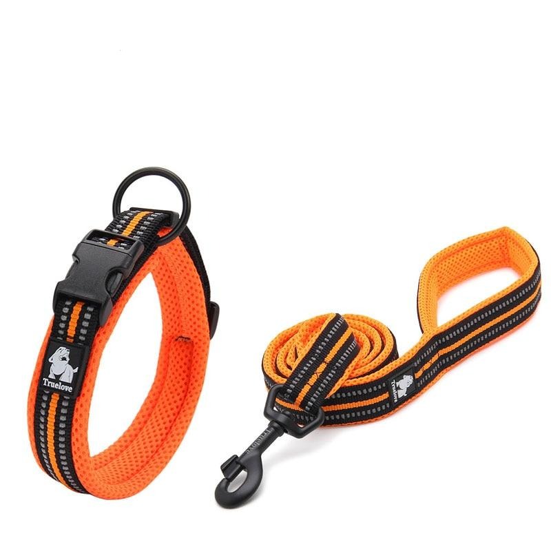 Collodi Orange Set - Dogs and Horses