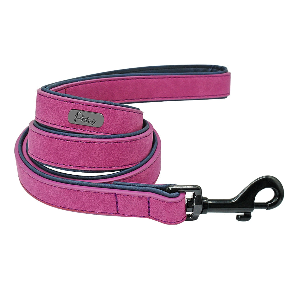 Roma Custom Leather Collar and Leash - Dogs and Horses