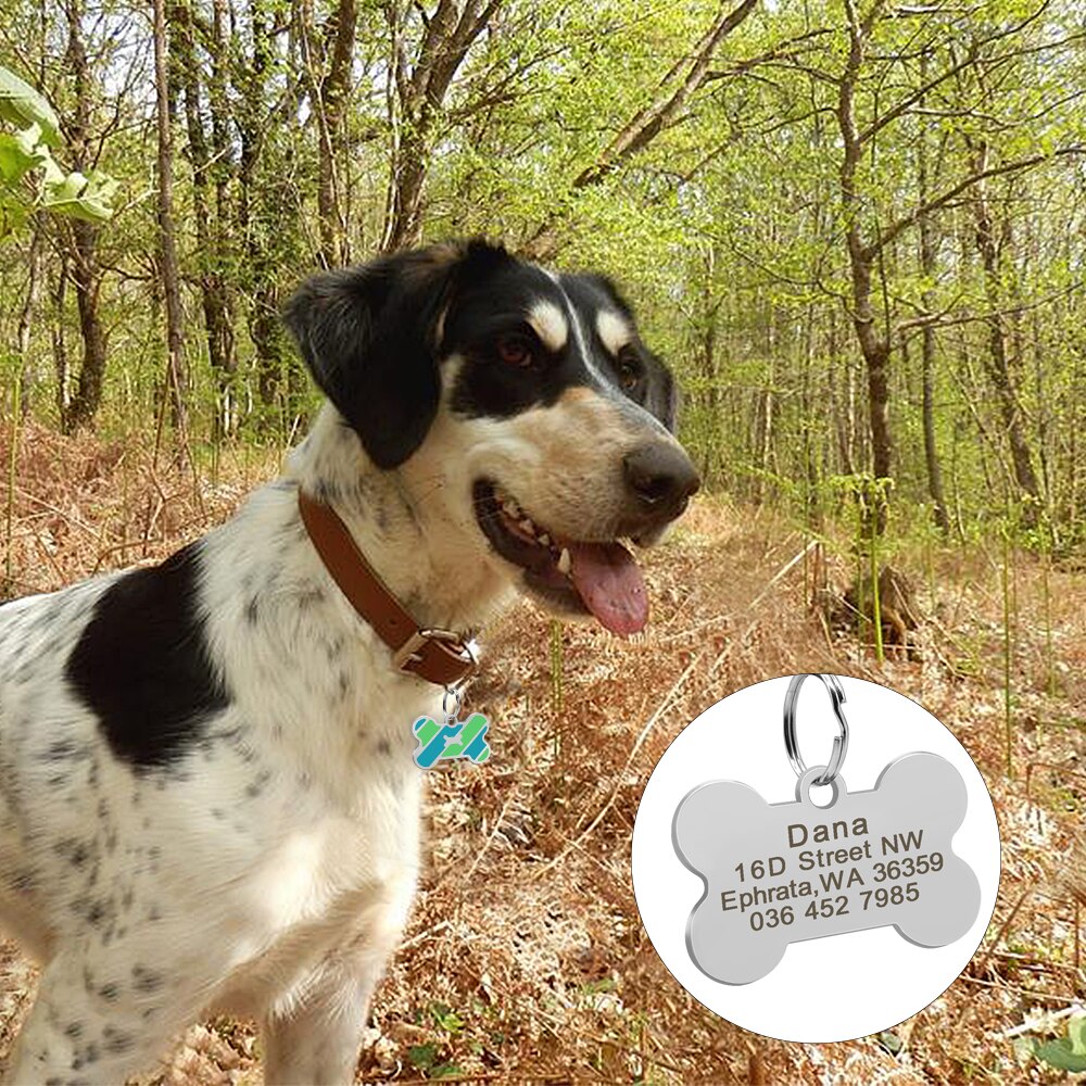 Bone Personalized ID Tags - Dogs and Horses