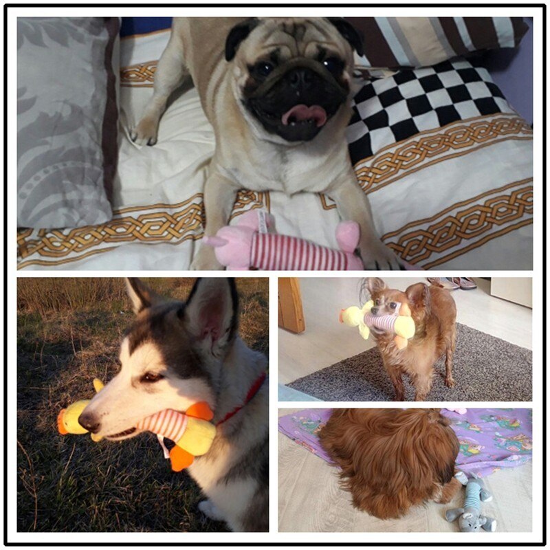 Plush & Squeaky Piggy - Dogs and Horses