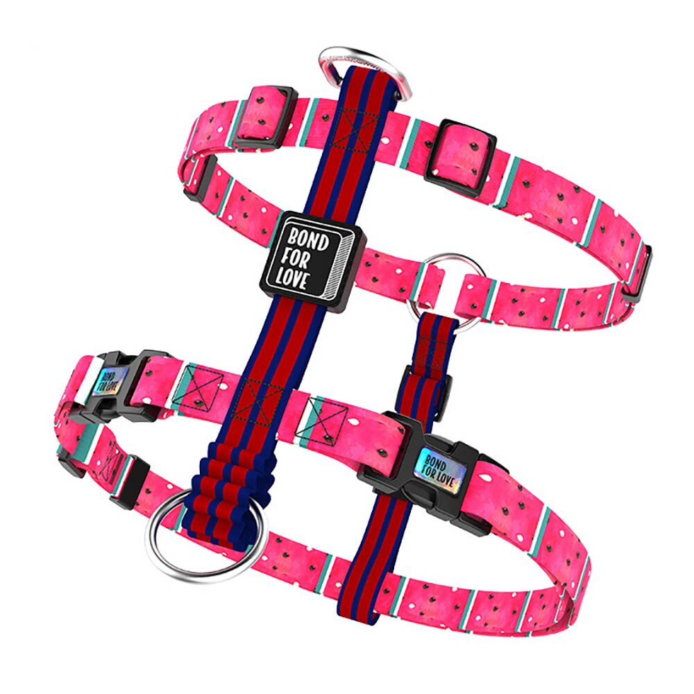 Bari Watermelon Chest Collar - Dogs and Horses