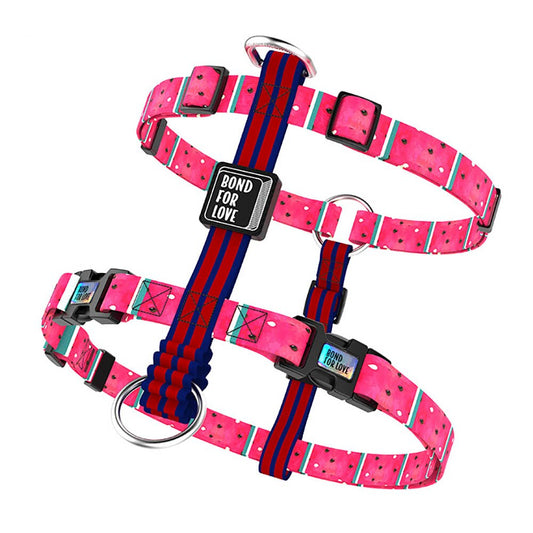 Bari Watermelon Chest Collar - Dogs and Horses