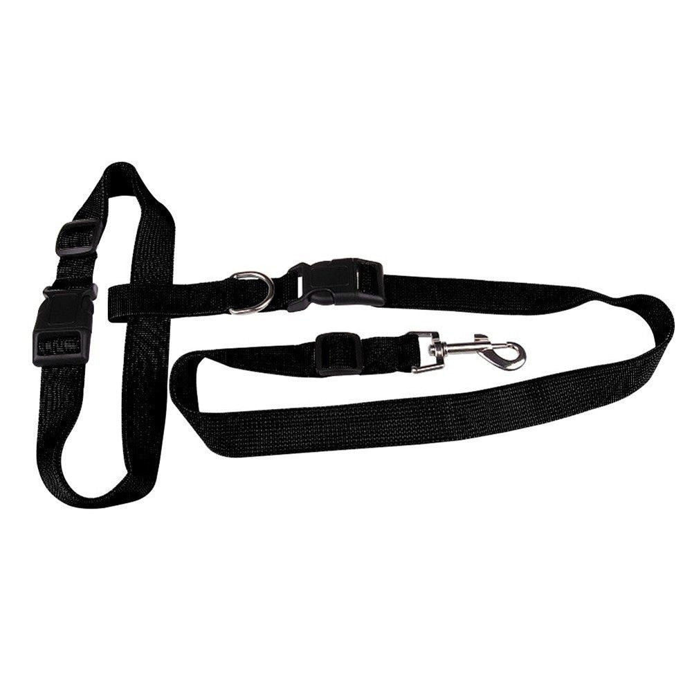 Manhattan Black Hands-Free Leash - Dogs and Horses