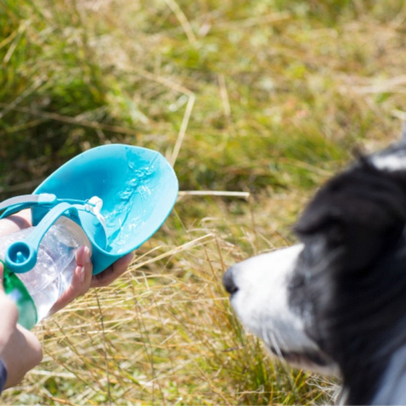 Portable Water Bottle - Dogs and Horses