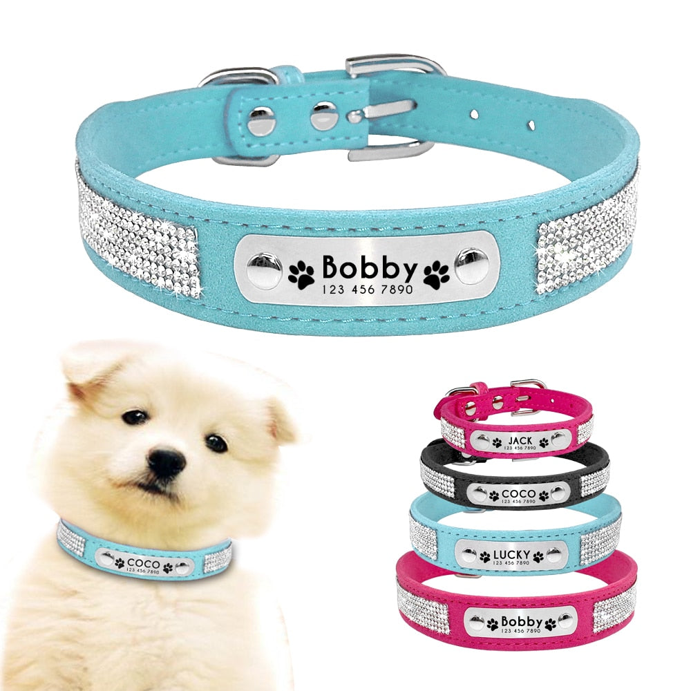 Blue Personalized Suede Collar - Dogs and Horses
