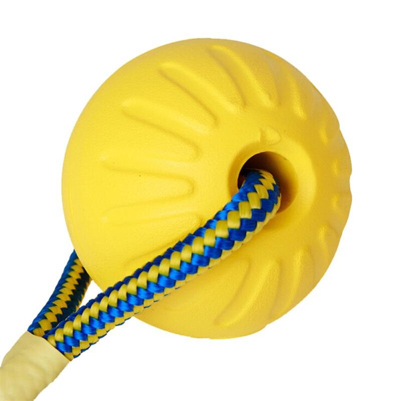 Chew Ball & Rope - Dogs and Horses