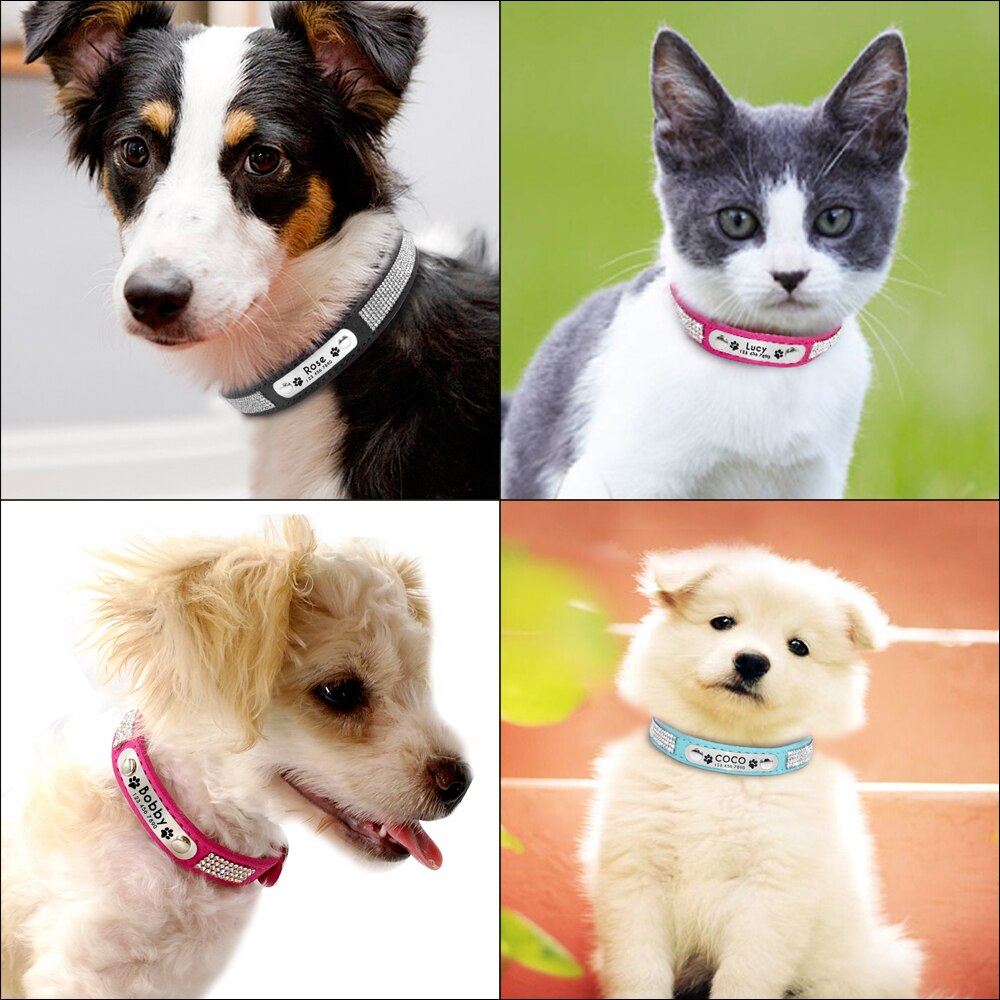 Pink Personalized Suede Collar - Dogs and Horses