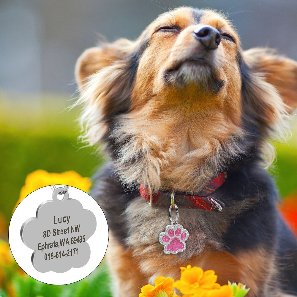 Paw Personalized ID Tags - Dogs and Horses