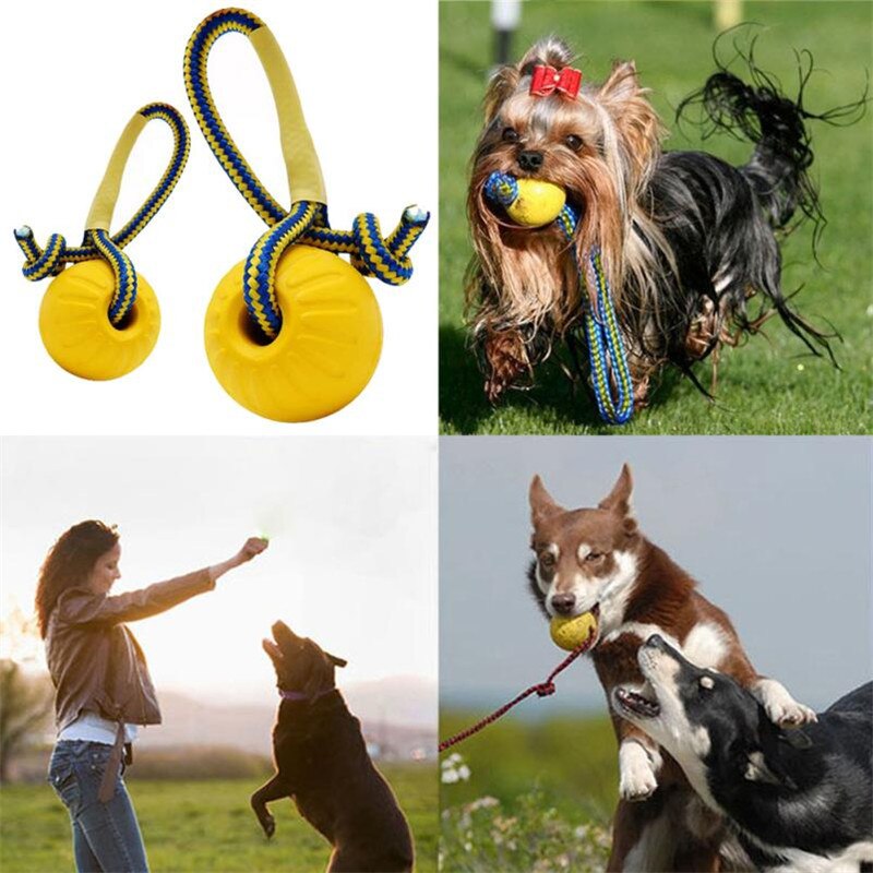 Chew Ball & Rope - Dogs and Horses