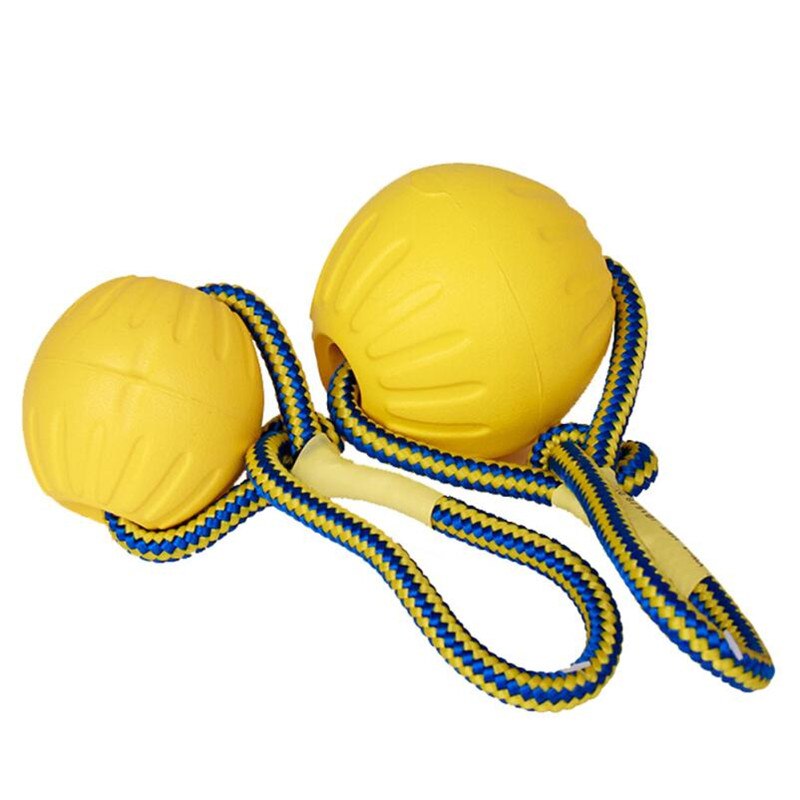 Chew Ball & Rope - Dogs and Horses