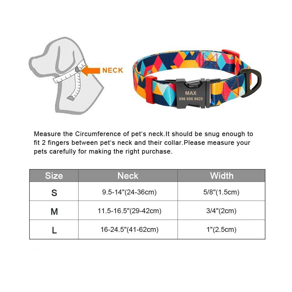 Picasso Orange Collar with Custom Engraving - Dogs and Horses