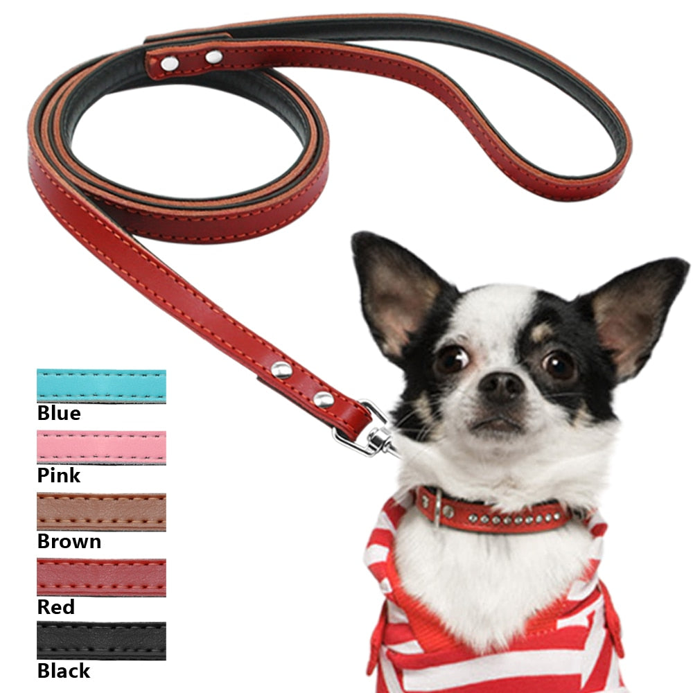 Matera Pink Leather Leash - Dogs and Horses