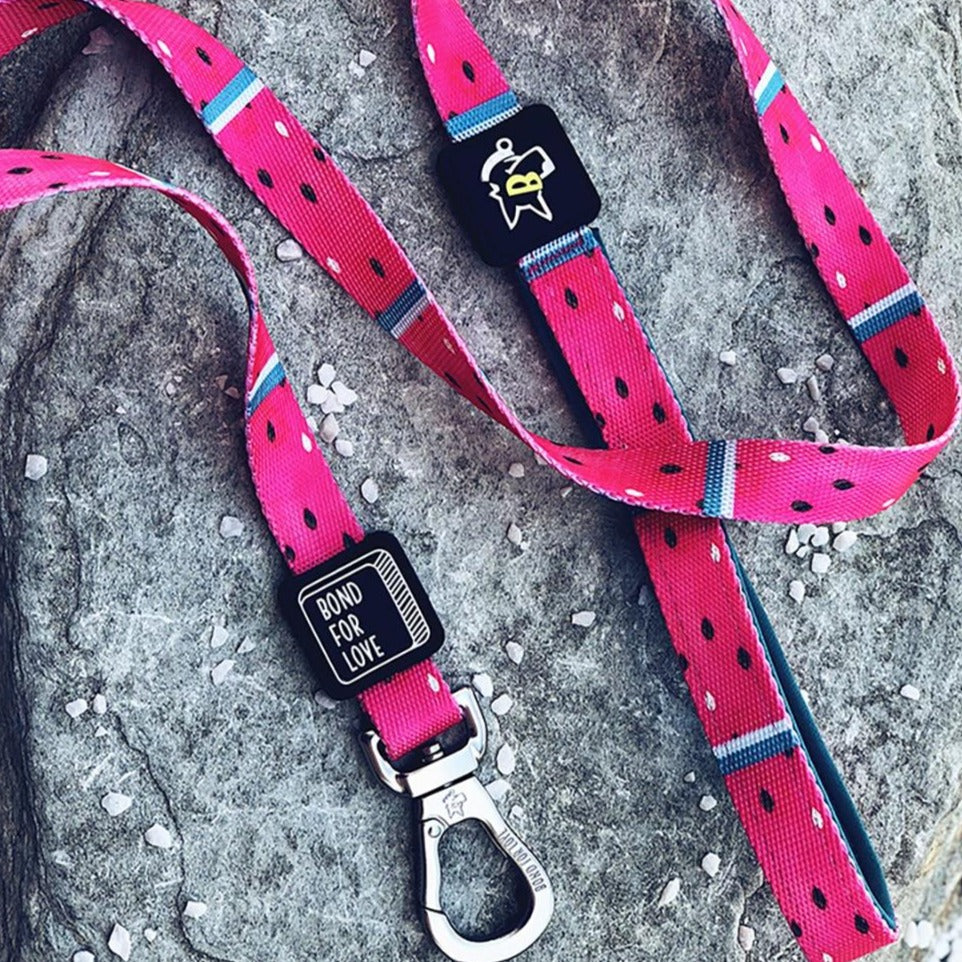 Bari Watermelon Leash - Dogs and Horses