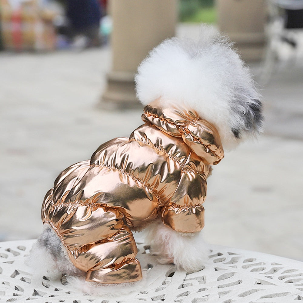Warm & Waterproof Dog Jacket - Dogs and Horses