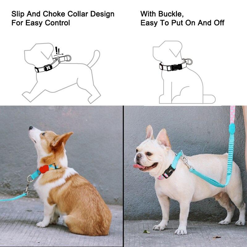 Capri Pop Collar & Leash Set - Dogs and Horses