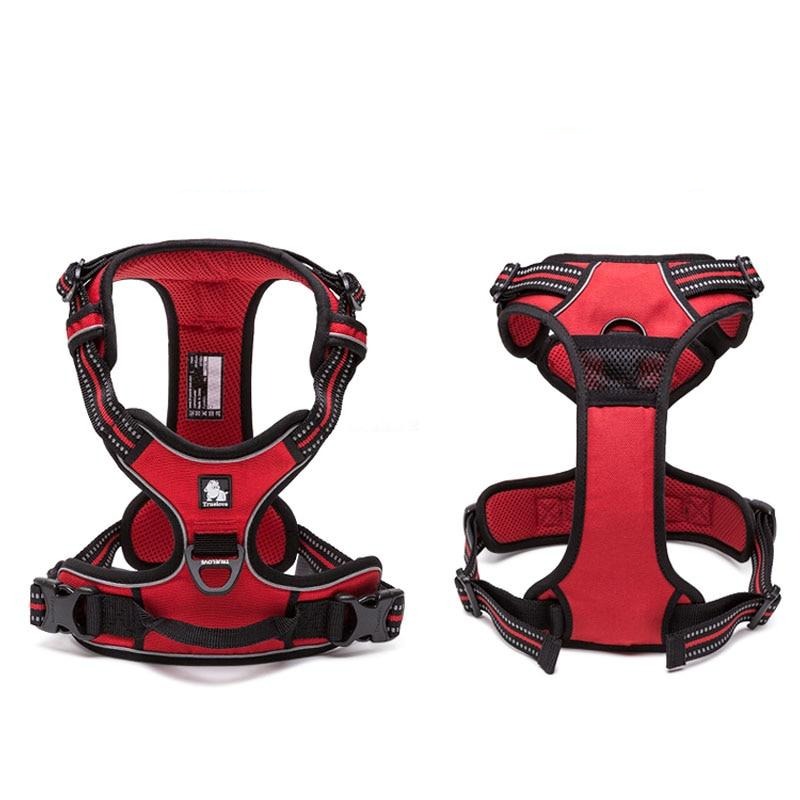 Collodi Red Harness & Leash Set - Dogs and Horses