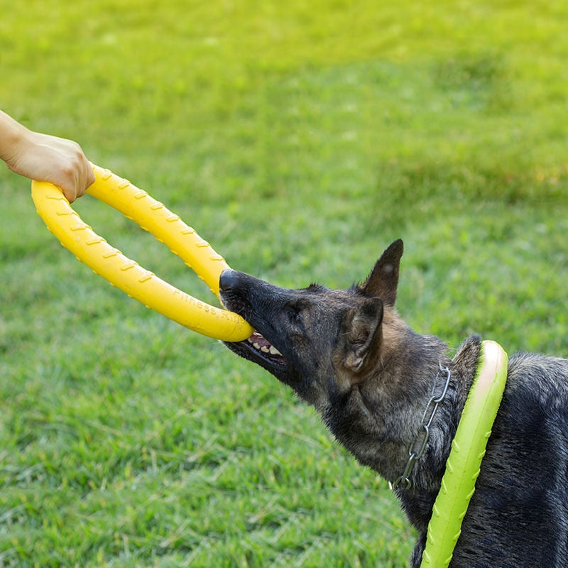 Flying Pull Discs - Dogs and Horses