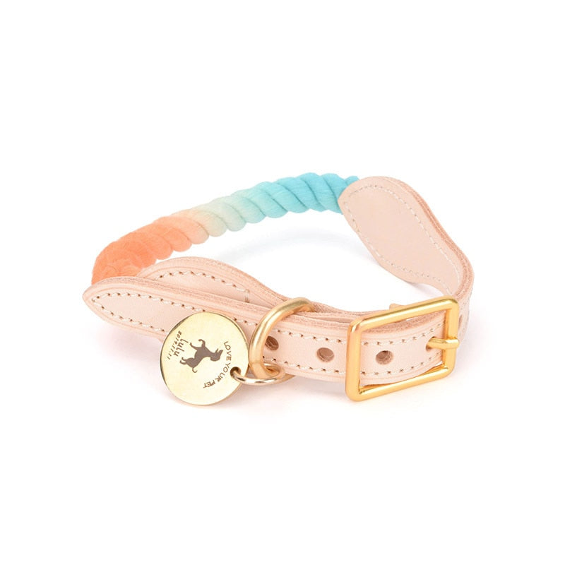 Venice Orange/Blue Collar - Dogs and Horses