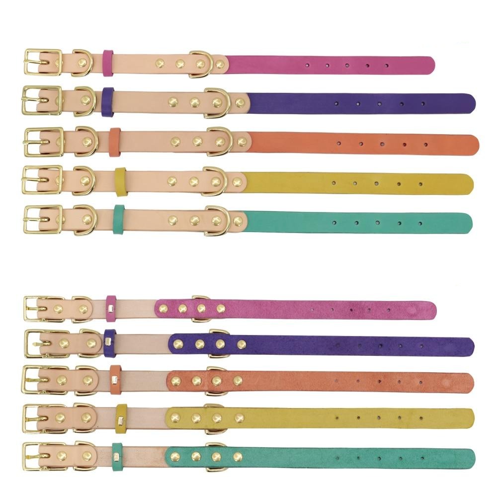 Siena Purple Collar & Custom Engraved Tag - Dogs and Horses