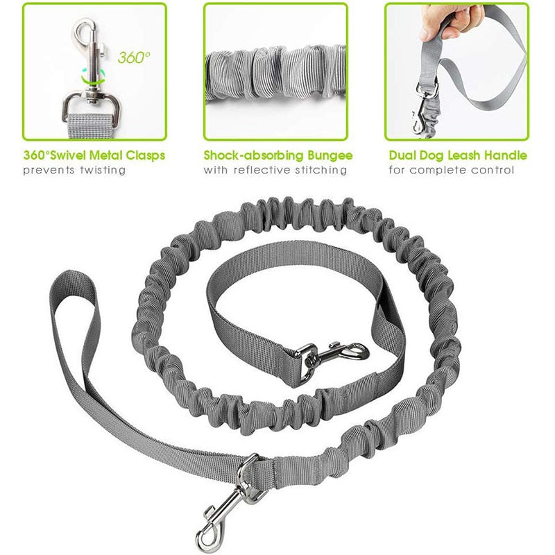Gray Hands-Free Leash & Running Belt - Dogs and Horses