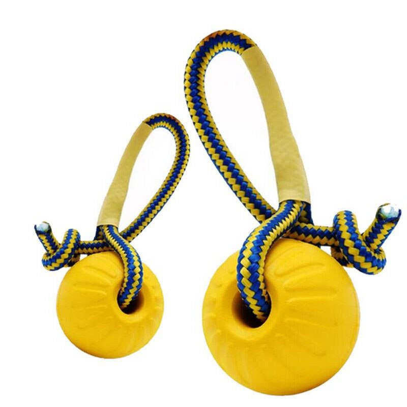Chew Ball & Rope - Dogs and Horses