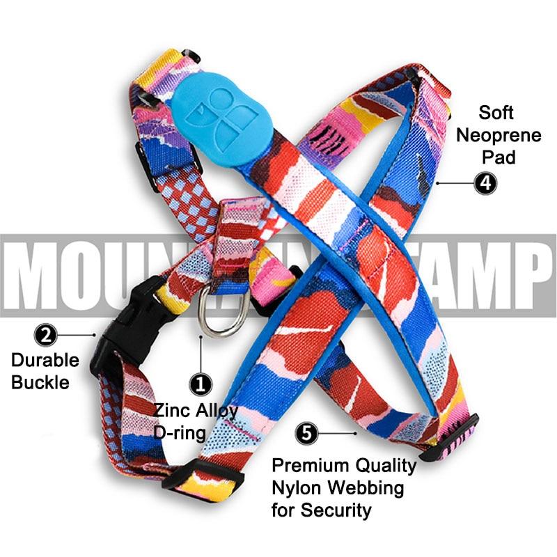 Capri Pop Harness & Leash Set - Dogs and Horses