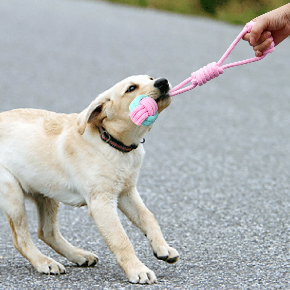 5-Piece Cotton Chew Rope - Dogs and Horses