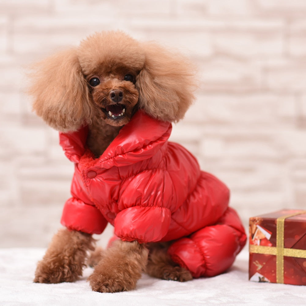 Warm & Waterproof Dog Jacket - Dogs and Horses