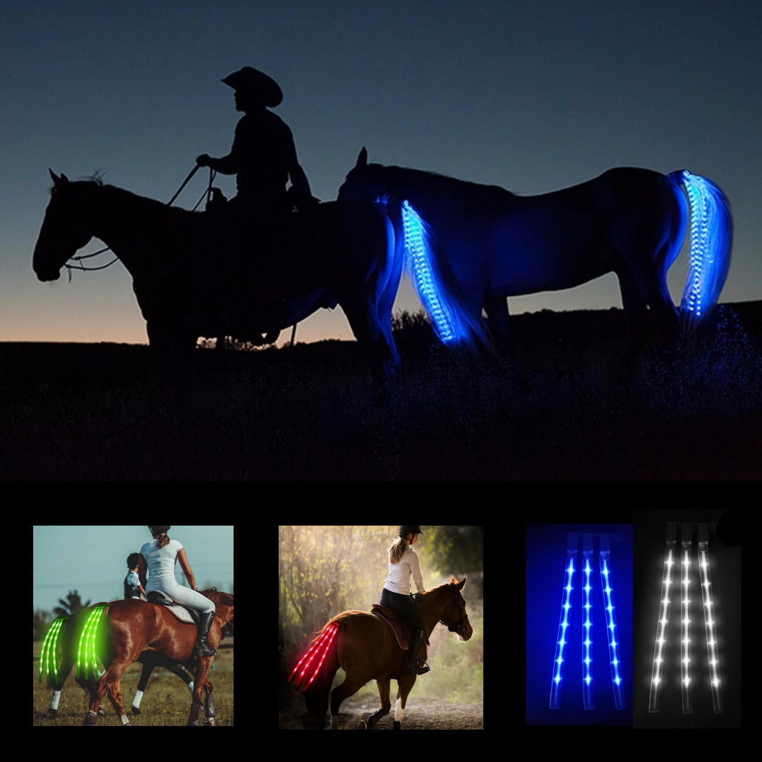 New LED Horse Tail Lights (USB charging) - Dogs and Horses