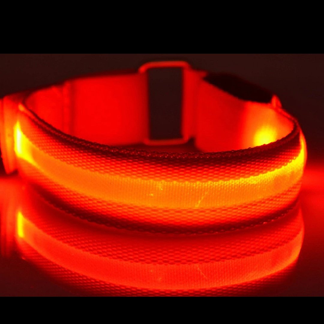 Horse Leg Straps LED Lights - Dogs and Horses