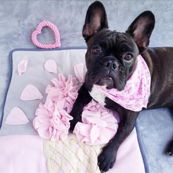 Ice Cream Cone Snuffle Mat - Dogs and Horses