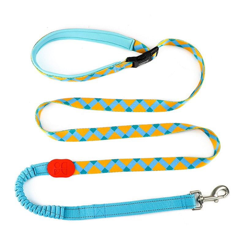 Capri Sunrise Hands-Free Bungee Dog Leash - Dogs and Horses