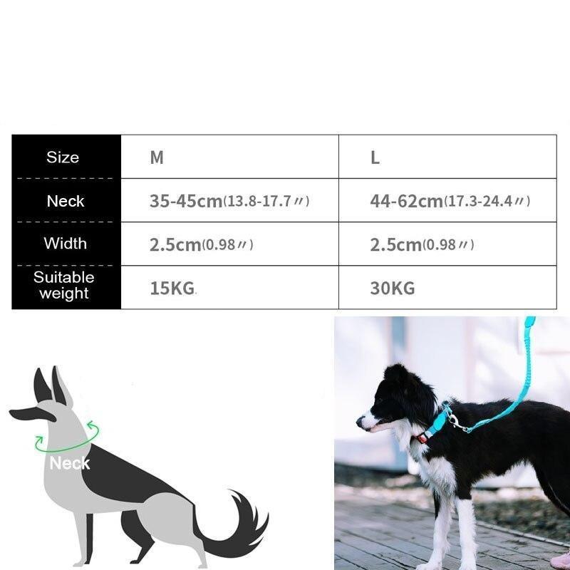 Capri Pop Collar & Leash Set - Dogs and Horses