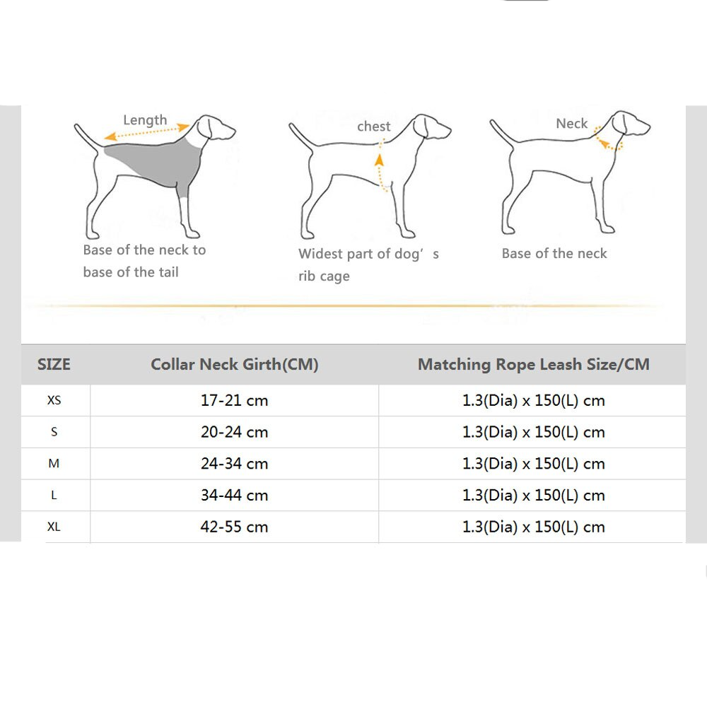 Venice Orange/Blue Collar - Dogs and Horses