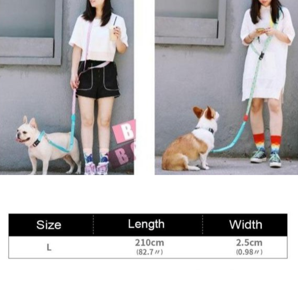 Capri Pop Harness & Leash Set - Dogs and Horses