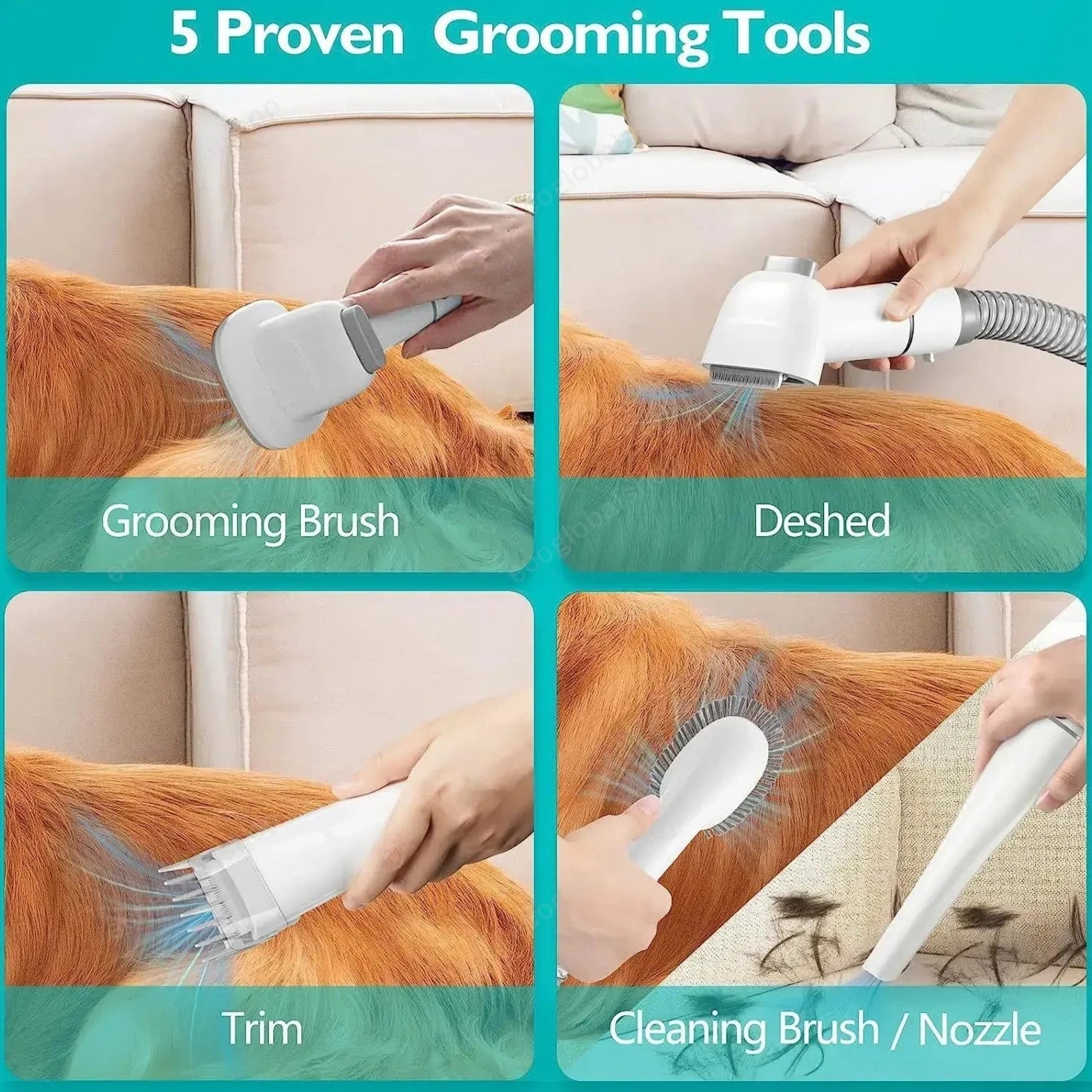 Ernia Ombelicale Nei Cuccioli - I Miei Animali - Foto 2