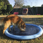 Splash Sprinkler Pad for Pets