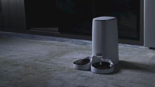 SmartFeed™ 4L Automatic Pet Feeder
