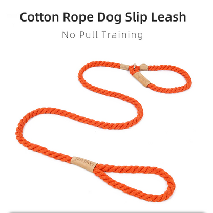 Blue Rope Slip Leash & Collar - Dogs and Horses