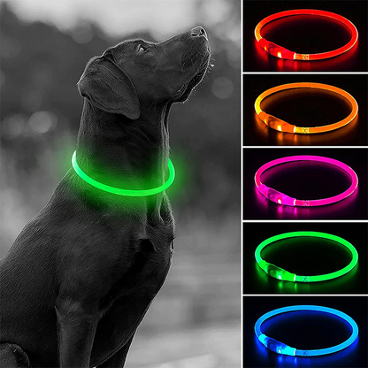 Luminous Dog Collar - USB Rechargeable - Dogs and Horses