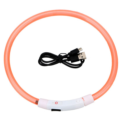 Luminous Dog Collar - USB Rechargeable - Dogs and Horses